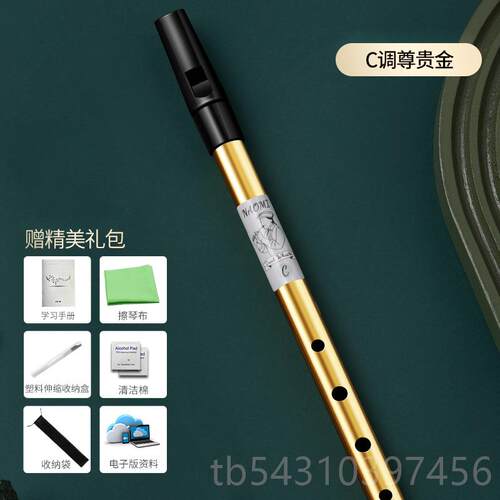 正品DB金AO 尔兰哨演笛初爱学者入门奏金属6孔C/D调高合音属直竖