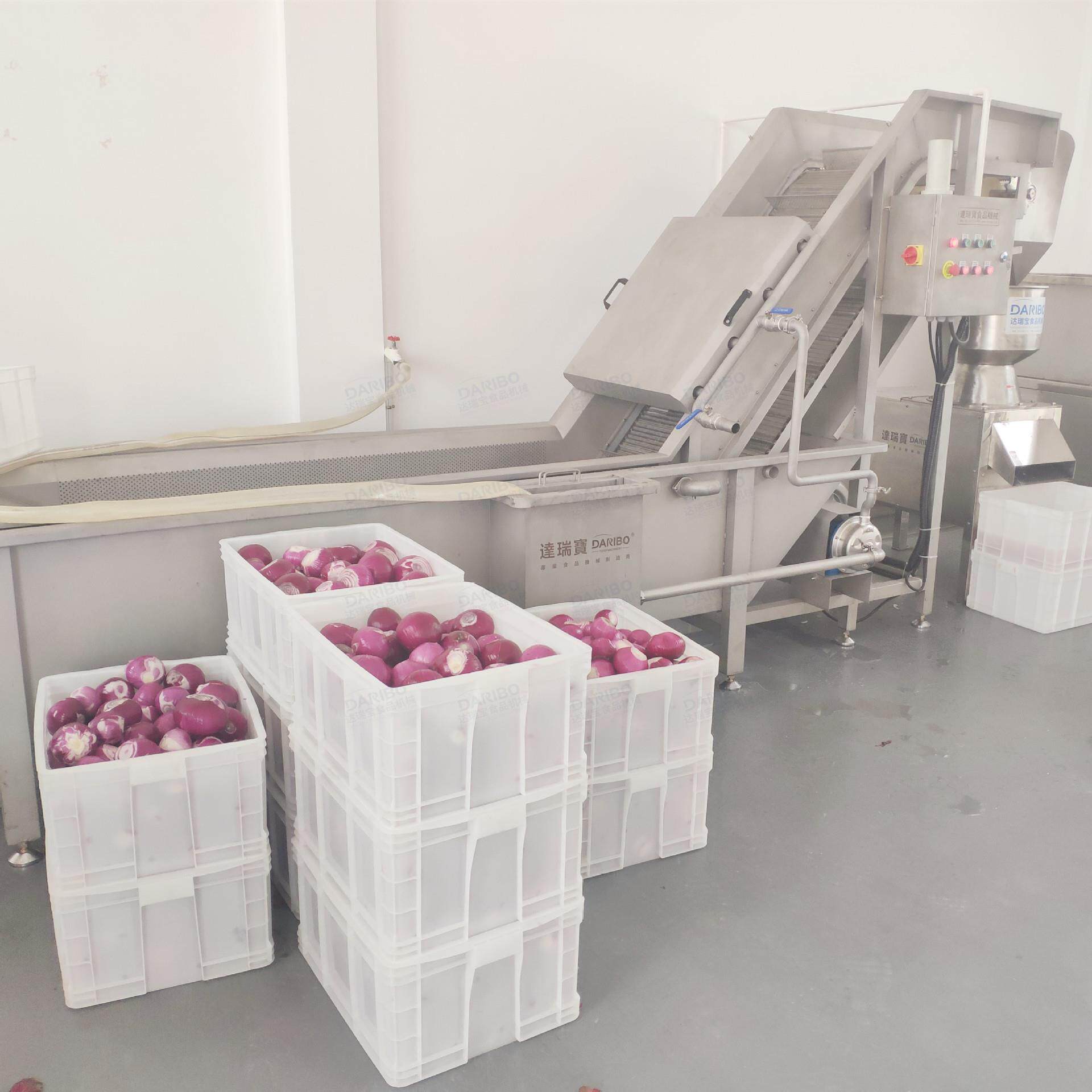 *全自动网链式提升清洗机 商用洋葱芹菜气泡喷淋清洗提升设备