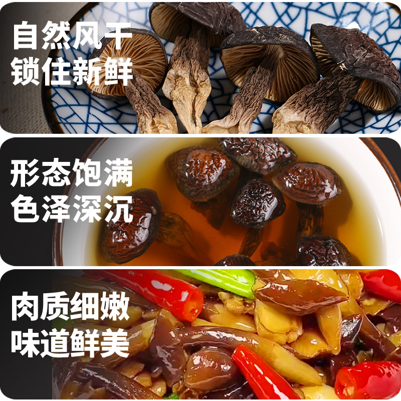 云南特产野生黑皮鸡枞菌干货新鲜蘑菇香菇鸡纵菌营养菌子菇类菌类
