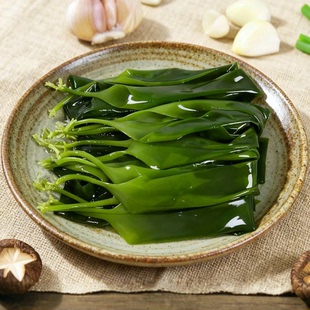 福建霞浦新鲜盐渍海带即刚长出口感脆嫩适合火锅凉拌煲汤高泡发