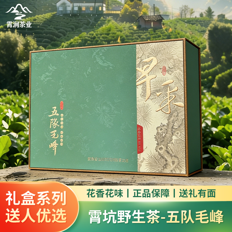 五队毛峰高山云雾兰香绿茶26年新茶正宗霄坑绿茶肖坑野生茶礼盒