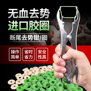 断尾钳羊用断尾圈小羊羔去势钳猪用去势圈胶圈皮筋兽用羊断尾神器
