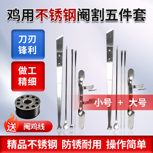 不锈钢全套阉鸡工具大鸡专用专业快速阉割刀阉割线小鸡公鸡阉割器