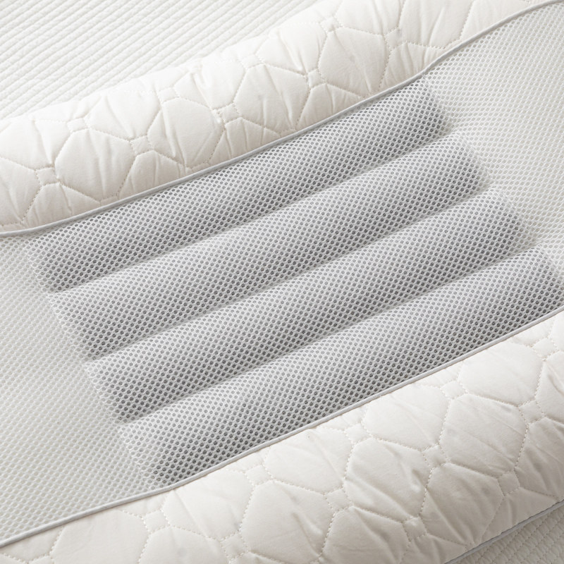 决明子枕头枕f芯护颈椎一对装家用一只助睡眠单人全棉不塌陷不变