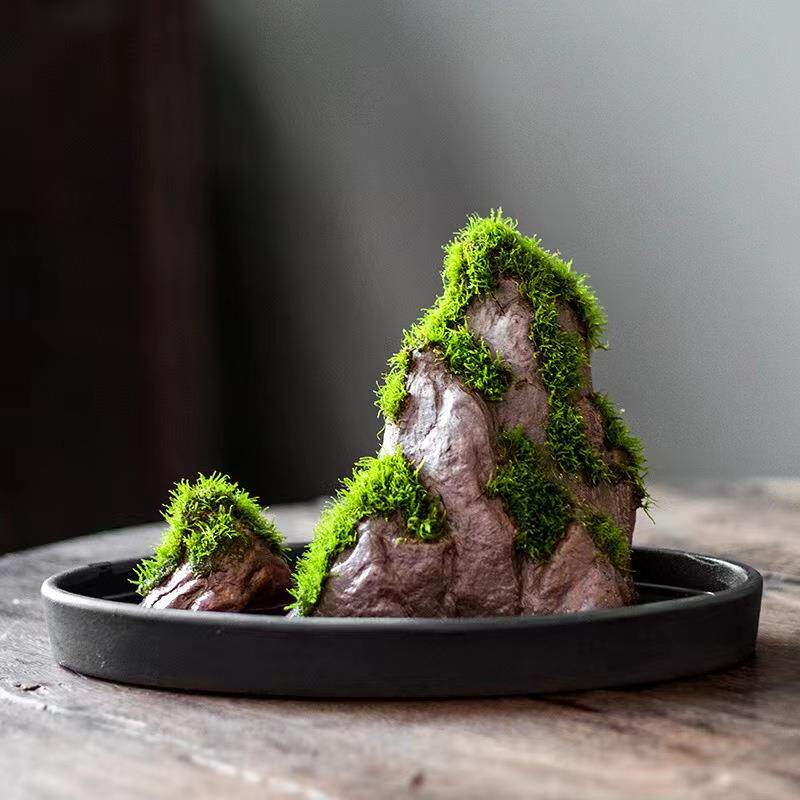 小鱼缸沉底摆件苔藓盆景附石青苔摆件造景莫斯假山新款禅意水陆景
