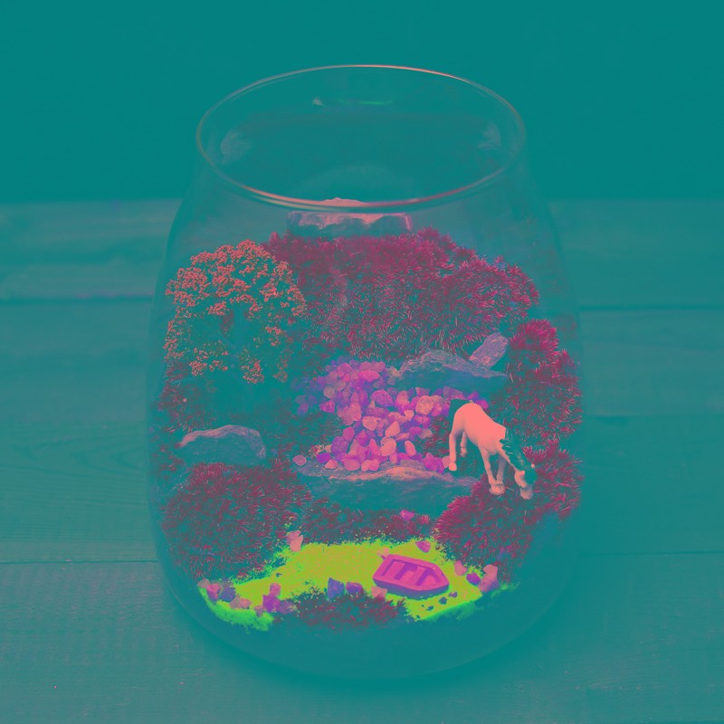 大号水滴苔藓植物盆l栽微景观生态瓶 室内桌面趣味微型创意DIY绿