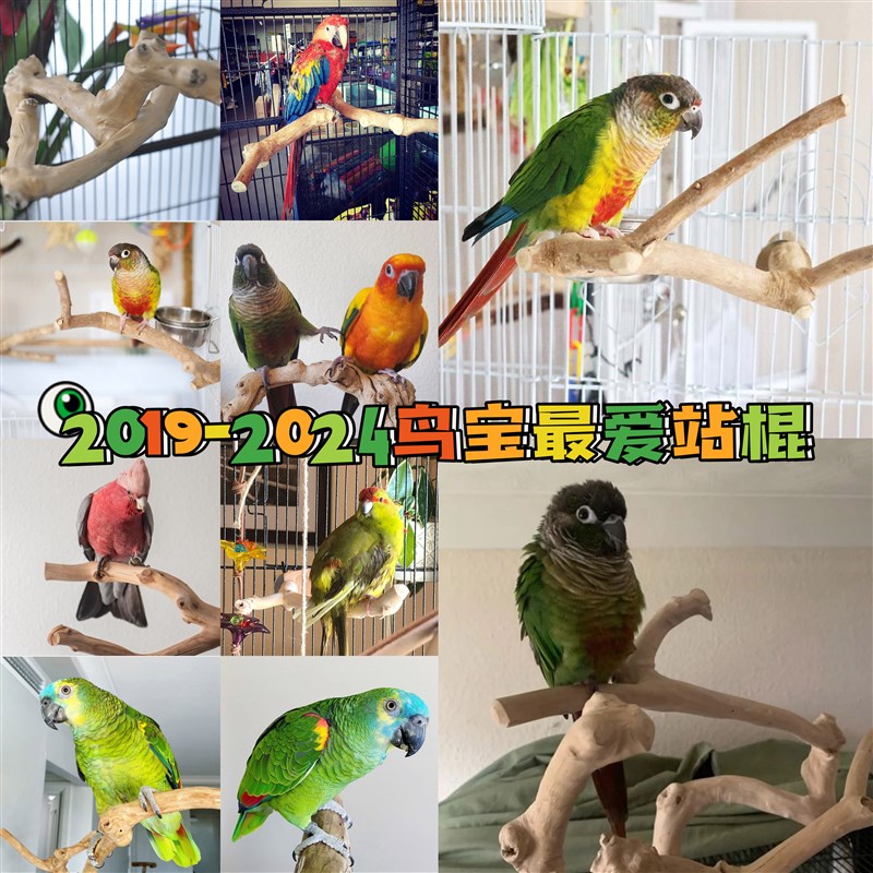 鹦鹉站棍站杆树枝站架咖啡木磨爪磨砂达洋K鸟笼配件JAVA玩具用品