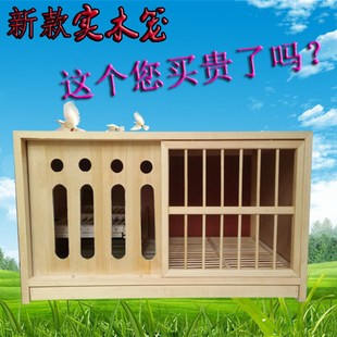 鴿子配對籠 鴿具 鴿子用品 賽鴿巢箱 信鴿配對籠 巢b箱 鴿子巢箱