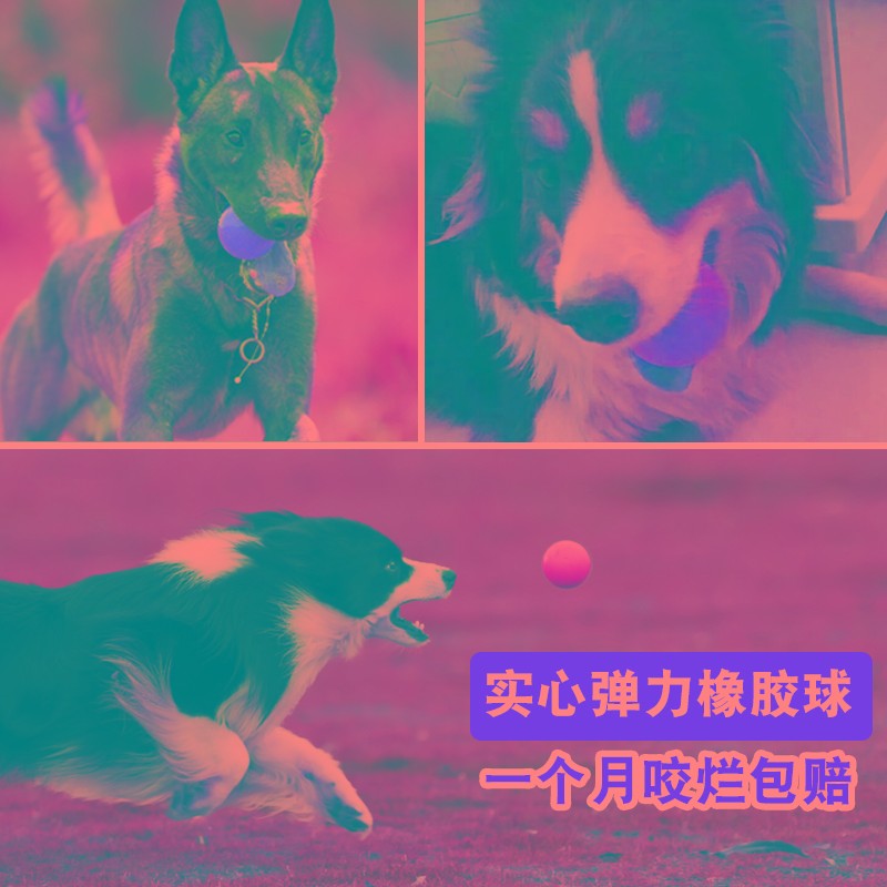 狗玩具球耐咬实心弹力橡胶中大型犬金毛拉布O拉多边牧宠物训练弹