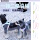 BORORO一拖二双狗牵引绳两只狗外出遛狗狗牵引绳中小X型犬牵狗绳