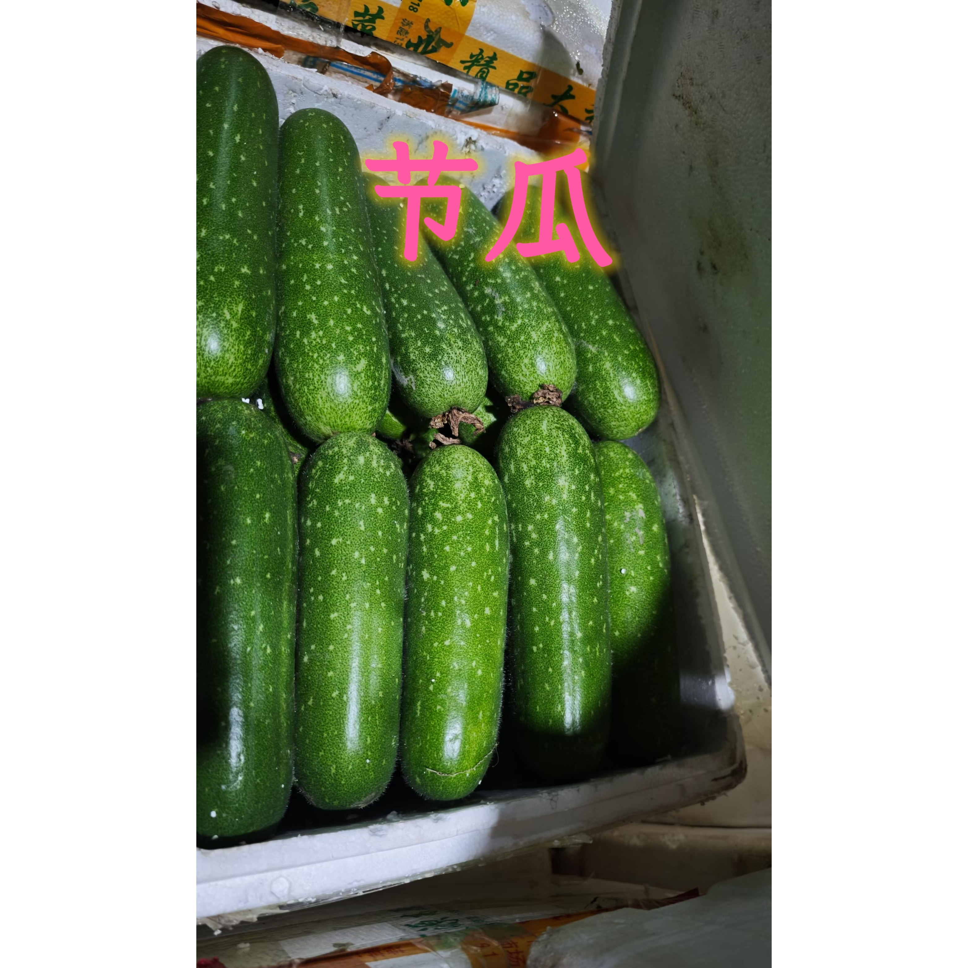 广东新鲜现摘当季农家自种迷你小冬瓜节瓜毛瓜蔬菜