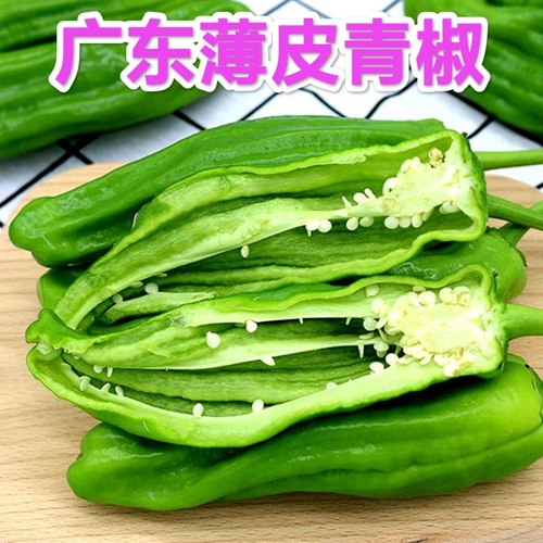 广东微辣农家当季青辣椒新鲜青椒薄皮尖椒蔬菜虎皮椒批发微辣青椒