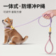 宠物狗狗牵引绳不勒手防挣脱P绳项圈外出遛狗绳宠物狗绳 新品