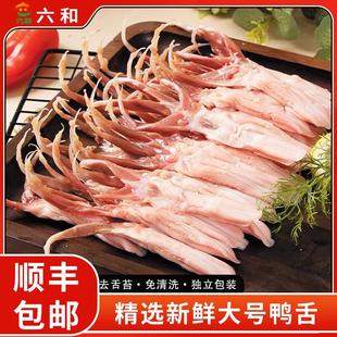 六和大号新鲜鸭舌头鸭舌生鲜鸭舌冷冻鸭舌生鸭舌商用