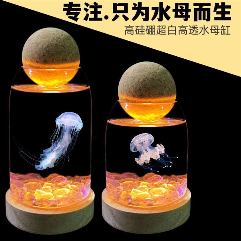 养水母专用缸水族宿舍懒人学生桌面小动物宠物迷你斗鱼水母杯生态