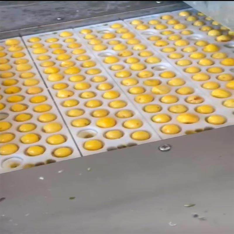 厂家商用李子樱桃去核机全自动青梅橄榄捅核机油柑子果去芯机,清洗/食品/商业设备,其他食品加工设备,淘宝优惠券,粉丝福利购,淘宝优惠卷