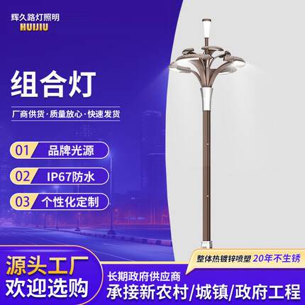 复古玉兰灯中华灯8-15米景观灯庭院灯户外路灯led灯照明灯灯带