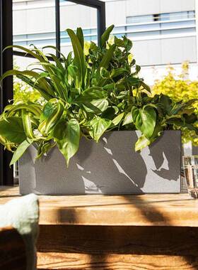 德吸国l进口花盆Blaconer自水阳台仿水泥地挂栏杆baco落nera50/80