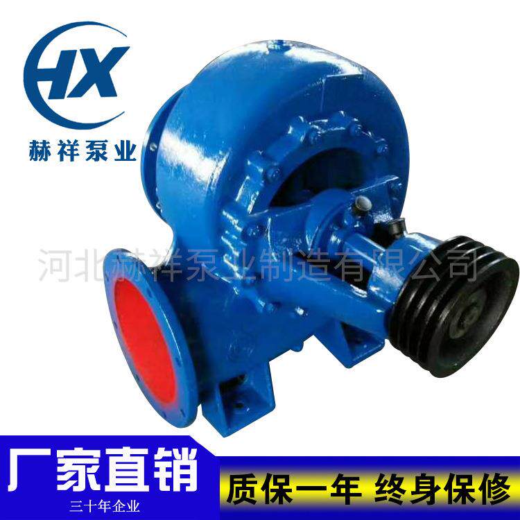 200HW卧式混流泵大流量海水养殖污水泵化工水处理煤气工程泵