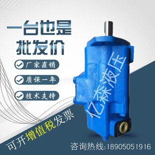 E80 E63 E200 125 E125 广东广液双联叶片泵YB