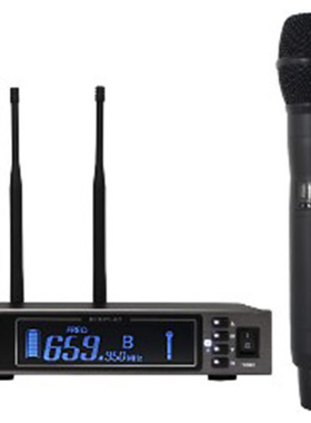 RUSEL RLX300真分集无线手持一拖一U段话筒演讲 会议多功能