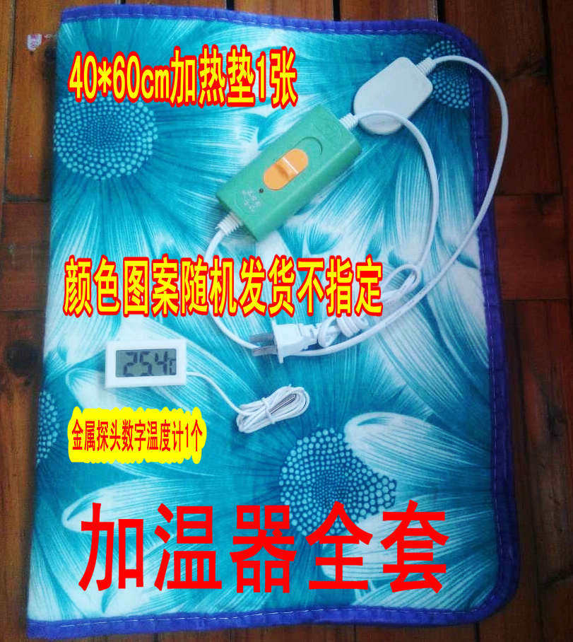 正宗红茶菌/红茶菌菌种/海宝/胃宝/醋蛾子/提供制作视频/包邮