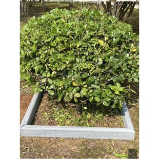 精选青石板围边石路沿石路肩石花园庭院菜地挡土步道石花坛花池条