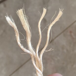 特价5毫米猫爬架剑麻绳纯天然广西剑麻缠绕绳猫爪绳四股手工