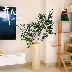 马醉木花瓶玻璃透明大号落地龙柳吊钟特大号高款长款高身高筒