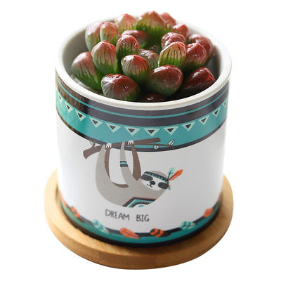 七彩冰灯玉露多肉植物盆栽十二卷水晶玉露超萌室内新手组合套餐