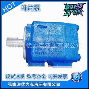 E32YB E25液压油泵YB E16叶片泵YB E36电动高压泵 E8定量泵YB