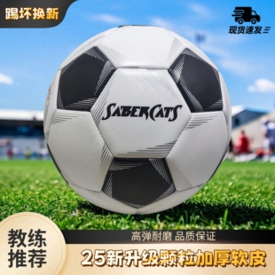 正品 3号儿童4号小学生5号中考训练比赛成人加厚防爆耐磨高弹足球