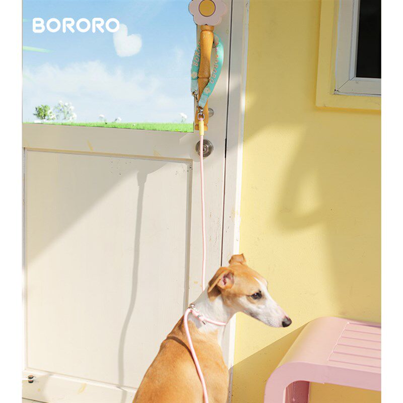 BORORO狗狗牵m引绳外出遛狗绳中小型犬幼犬比熊雪纳瑞宠物链子