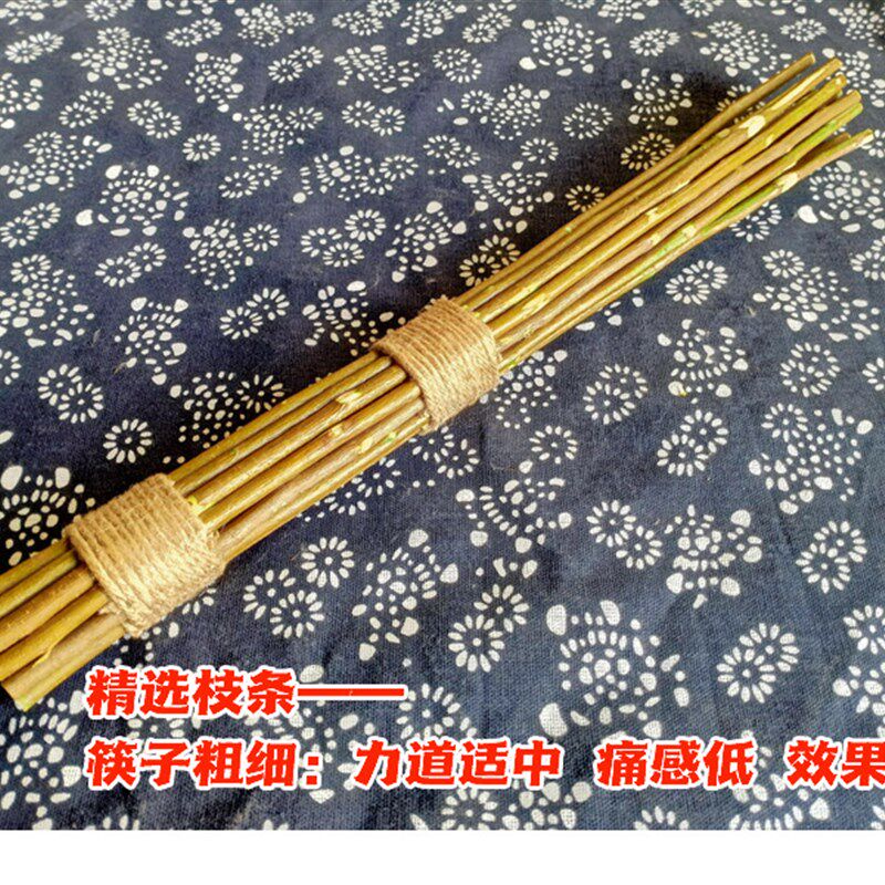 经络养生/桃枝拍打棒/按摩棒经络拍E/中医自然疗法不药而愈/拍八