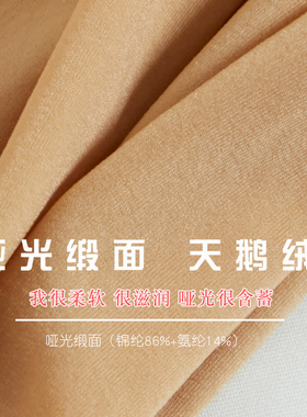 微透35D哑光缎j面连裤袜无痕加大天鹅绒丝袜 女中低腰袜子 耐穿王