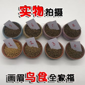 西蜀堂手工画眉鸟食饲o料提性打彩画眉鸟食秘制营养壮膘画眉鸟饲