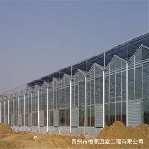 玻璃温室大棚工程 玻璃连栋温室建设 农业智能温室暖棚 生态餐厅