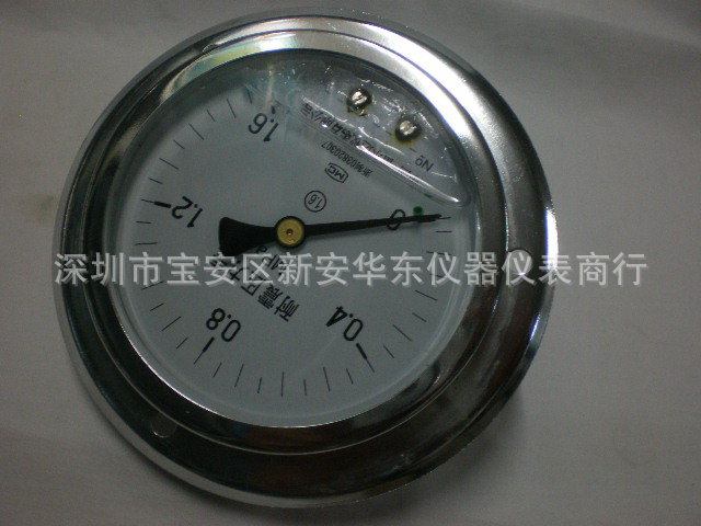 轴向带边耐震压力表YN100 中国雷尔达牌 1.6 2.5 4 6 10 16 25MPA