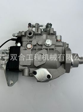 燃油柴油泵总成096000-4861 VE4/10F2200RND486 VE4/12F1150L954