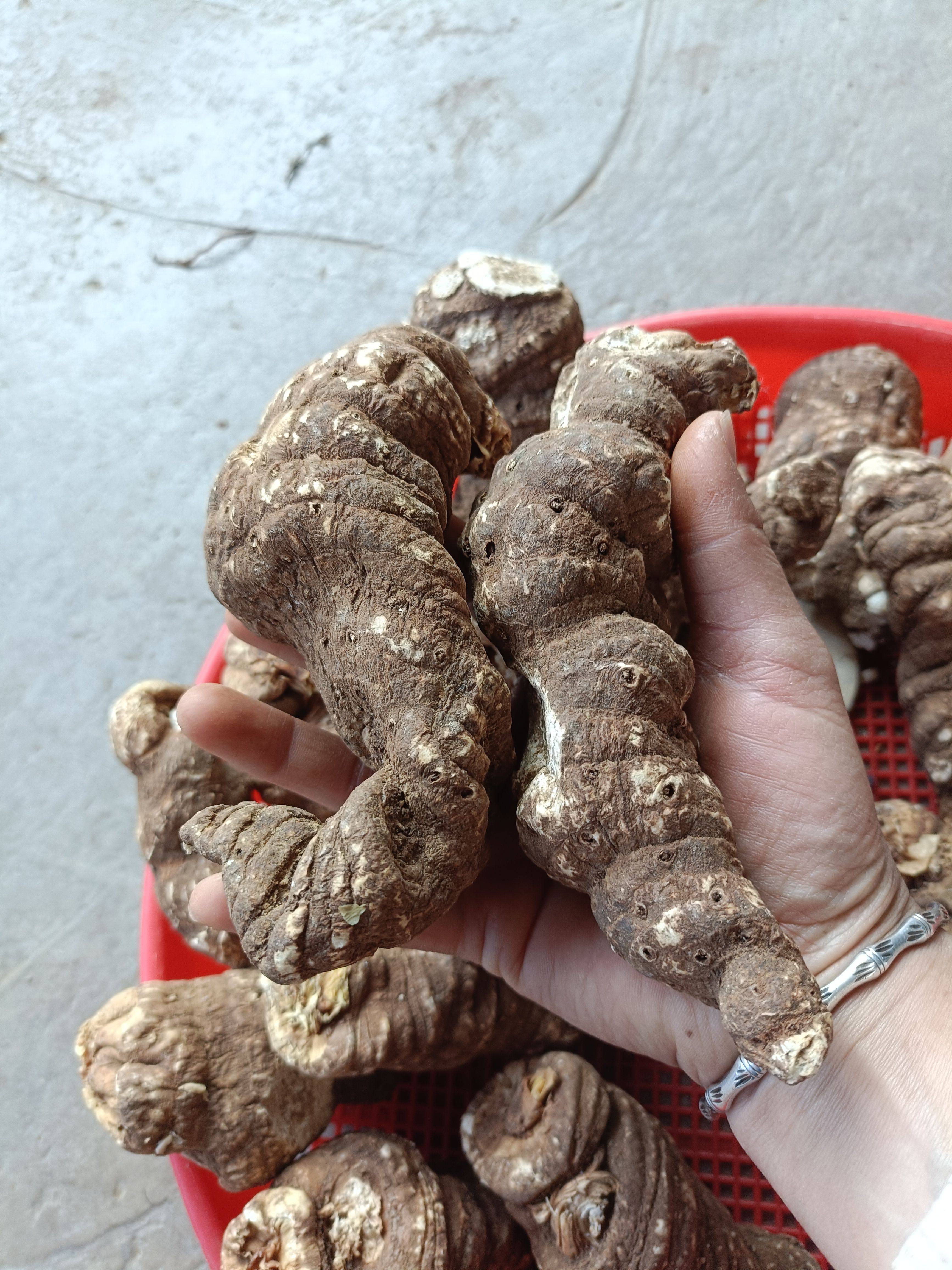 云南中药材一枝花片泡茶泡水云南哀牢山干货重楼大个头干货