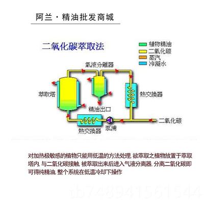 正品厚朴精油30m抗l燥湿化消痰镇痛促菌健胃消按摩草本药油单方