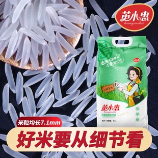 黄小惠斯诺丽丝香米10斤长粒香当季新米一级南方大米猫牙小包籼米