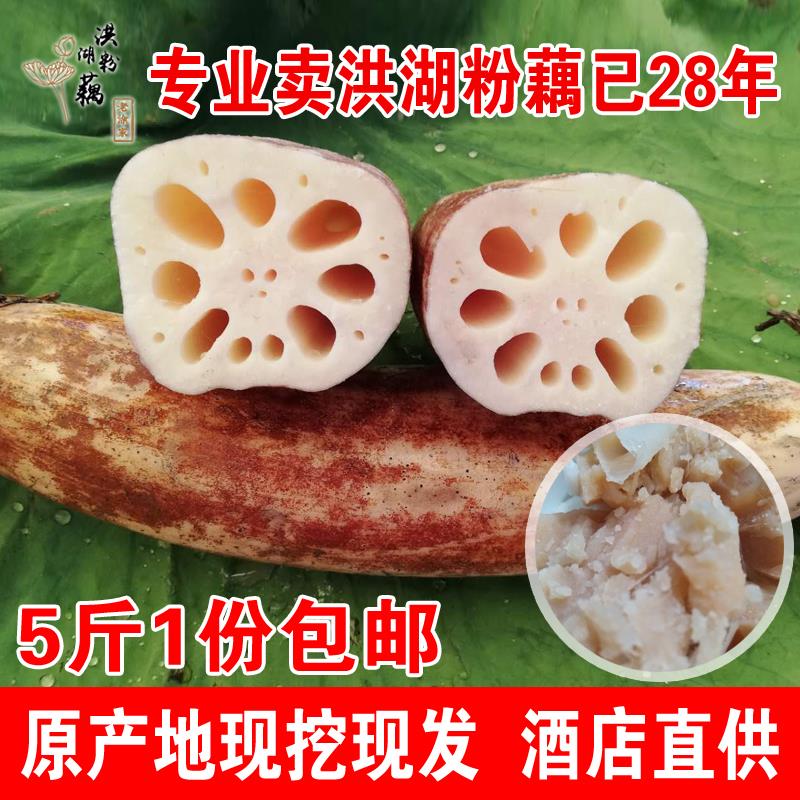 洪湖莲藕新鲜包邮老涂家湖北粉藕特产煲汤现挖九孔带泥粉糯米红藕