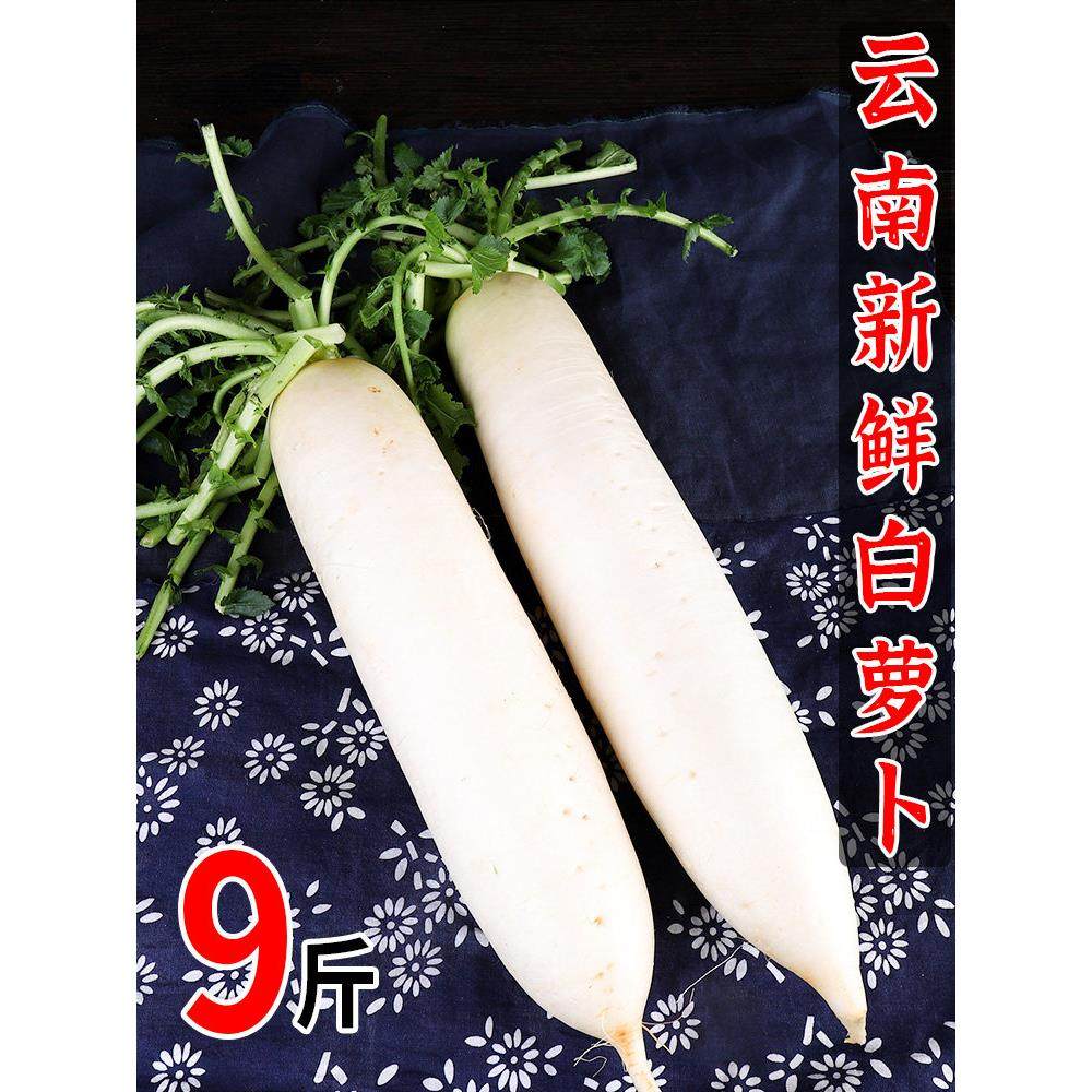中鲜生 新鲜白萝卜9斤白皮甜脆爽口水果萝卜农家自种腌菜泡菜萝卜,水产肉类/新鲜蔬果/熟食,萝卜/胡萝卜,淘宝优惠券,粉丝福利购,淘宝优惠卷