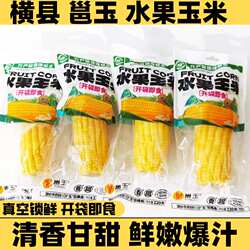 广西邕玉横县新鲜甜玉米即食220克真空装营养早餐健康饱腹零食
