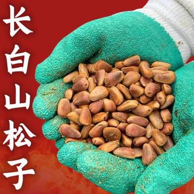 东北松子新鲜生松子2024年坚果新货新鲜长白山特产红松新鲜生