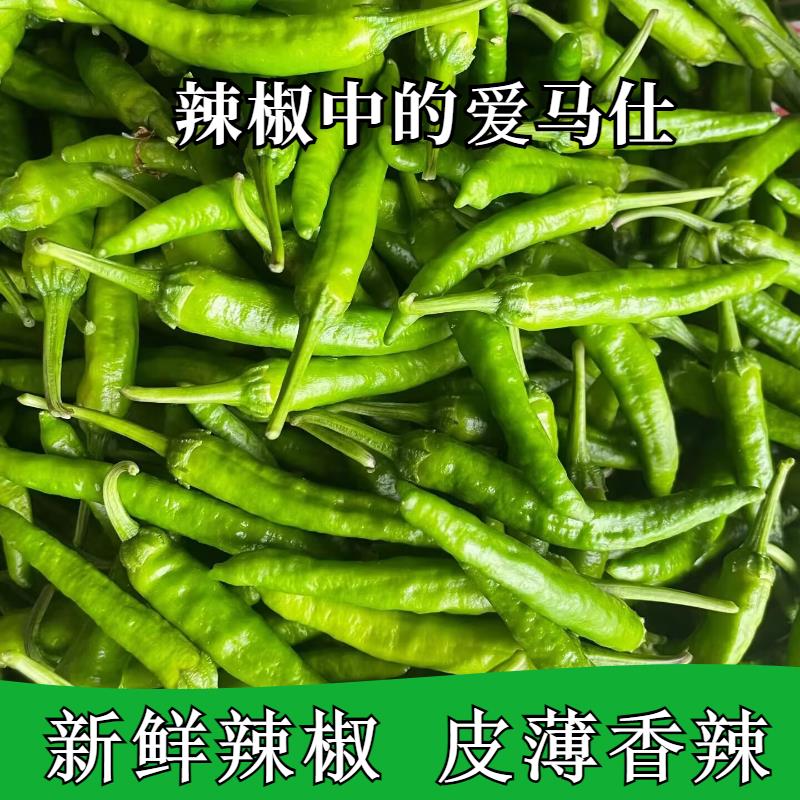 湖南樟树港新鲜小辣椒现摘5斤薄皮嫩青椒农家特产当季蔬菜湘菜馆