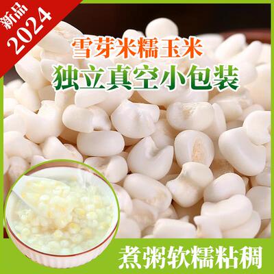 当季新雪芽整粒大粒广西忻城珍珠糯玉米头白糯玉米粒做菜糖水500g