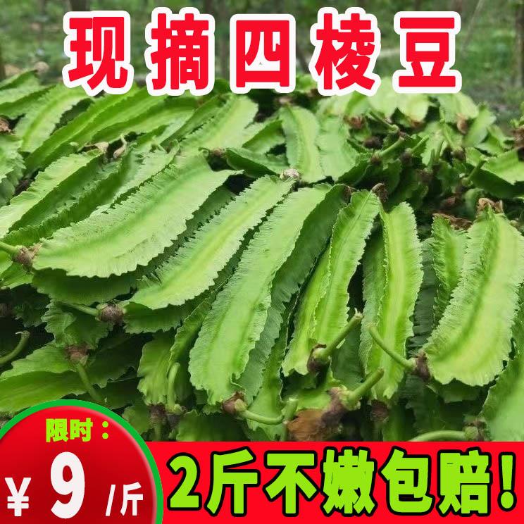 【2斤】新鲜海南四角豆角四角豆三亚四棱豆杨桃豆皇帝豆孕妇蔬菜