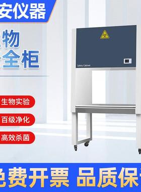 生物安全柜二级实验室食品微生物半排全排BHC-1000IIA2/B2操作台
